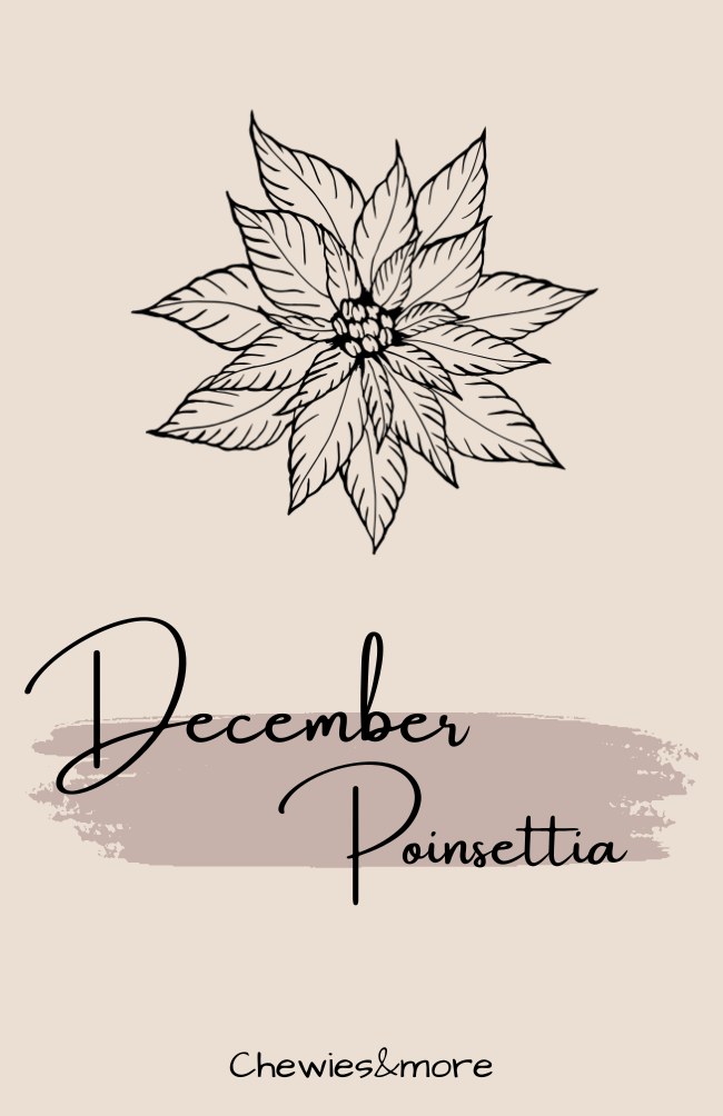 Birthflower | Coin | December